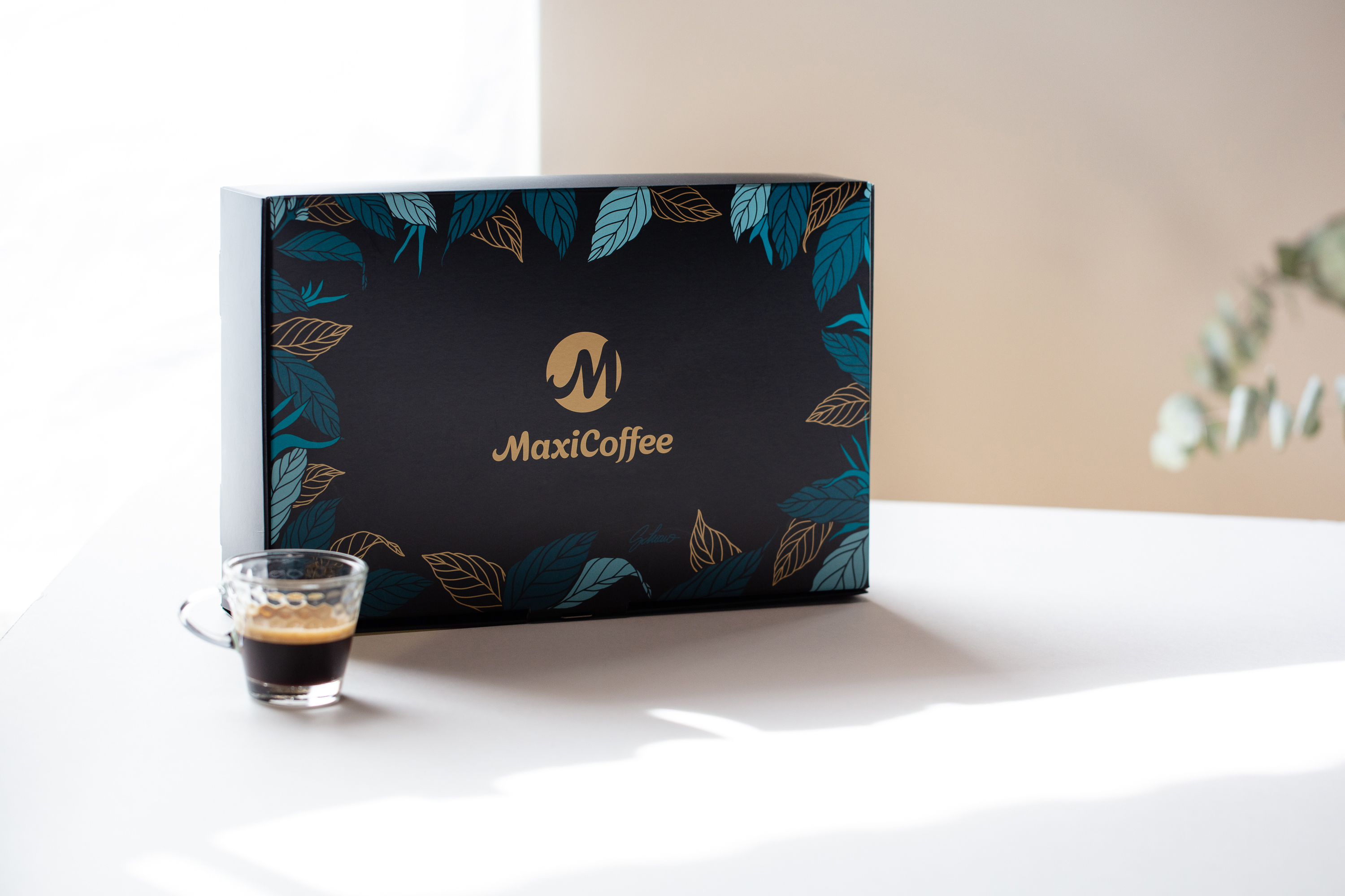 Coffee Bean Discovery Packs