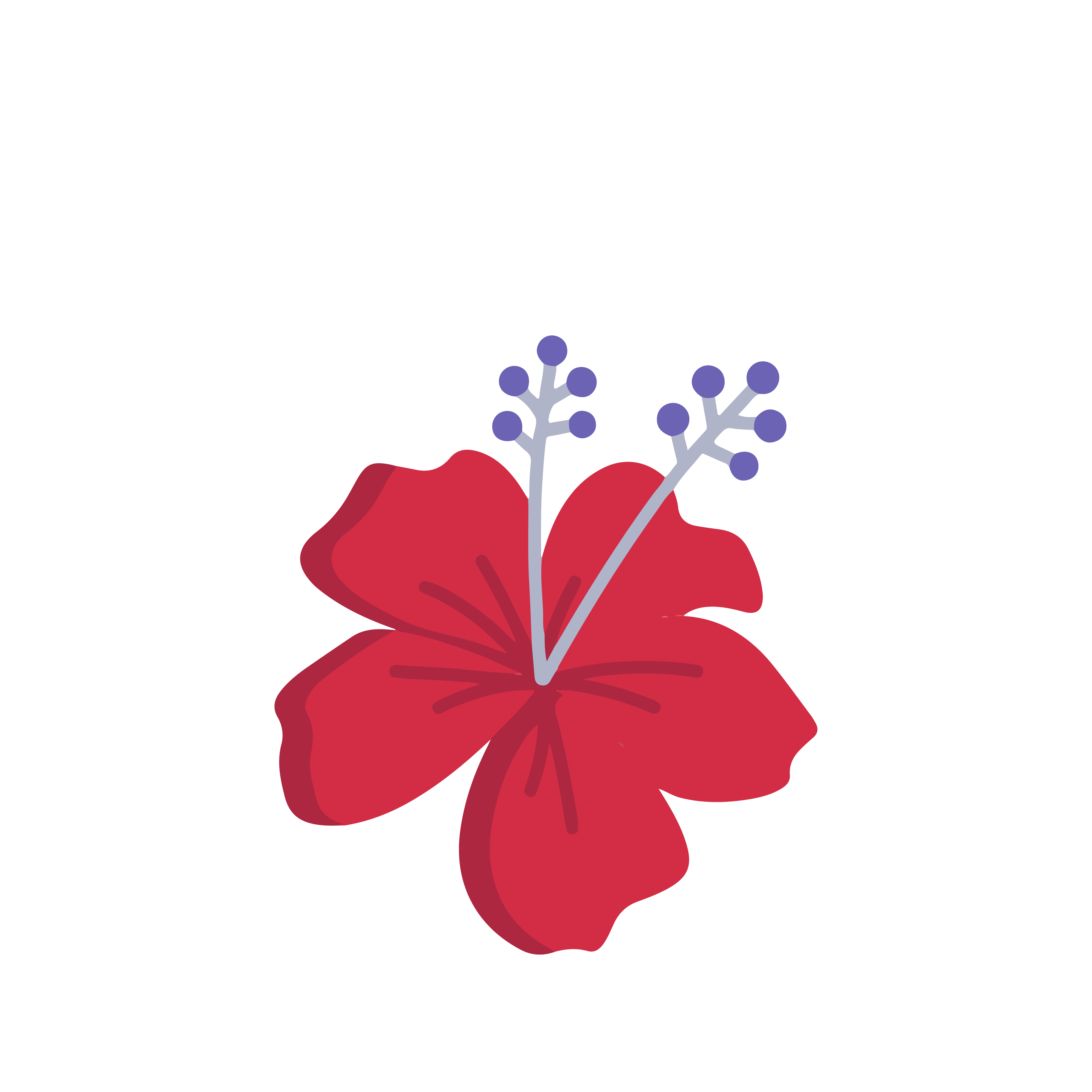 Hibiscus Tea Hibiscus Tea